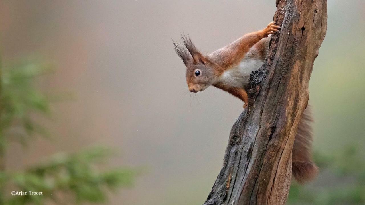 Carpe Diem Nijverdal Zewnętrze zdjęcie